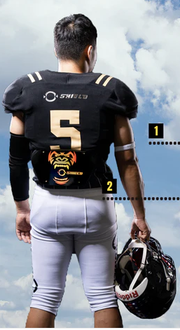 The #1 Reason on Choosing Custom Design for a Football Backplate
